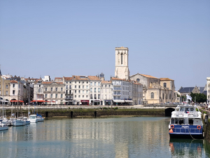 Lutte contre les nuisibles La Rochelle